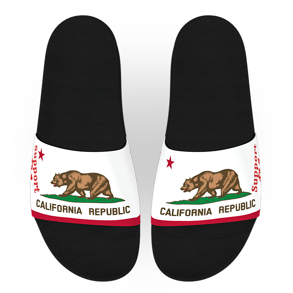 81 FRISCO Support Slides - California