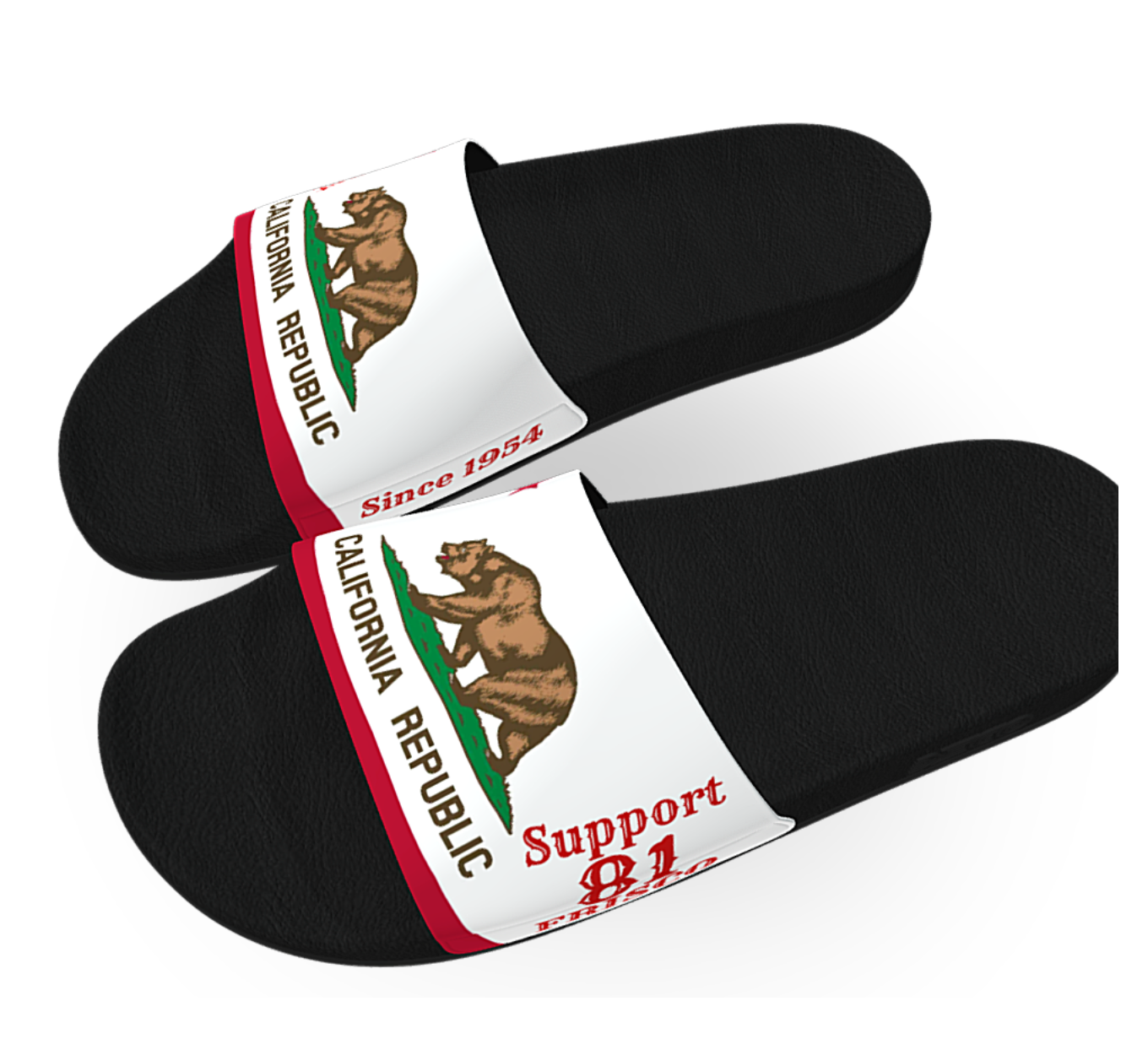 81 FRISCO Support Slides - California