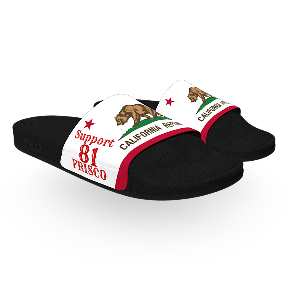 81 FRISCO Support Slides - California